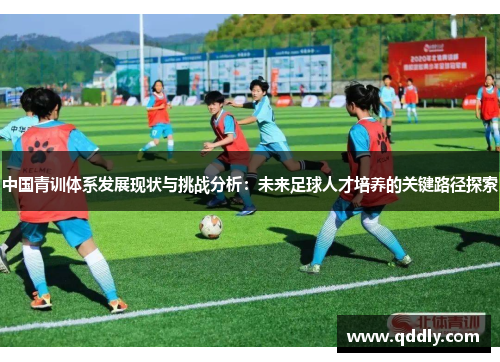 中国青训体系发展现状与挑战分析：未来足球人才培养的关键路径探索