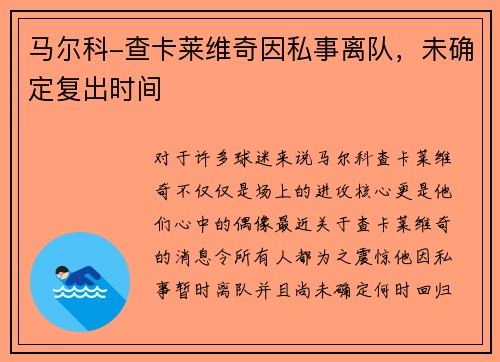 马尔科-查卡莱维奇因私事离队，未确定复出时间